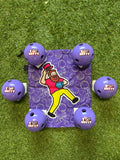 Grape Greatness! 6 Pack and Sack
